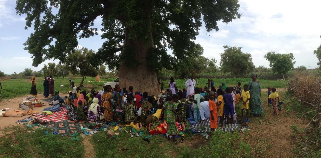 Un grand groupe assis sur des nattes sous un grand arbre pour une réunion villageoise.