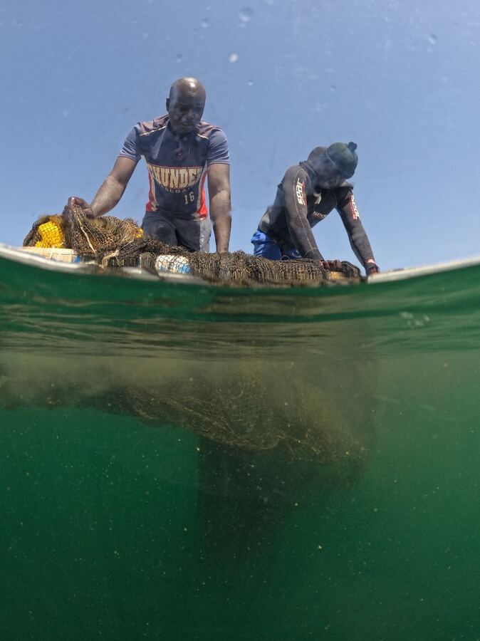 Des plongeurs hissent un filet par-dessus bord, vus depuis l’eau.