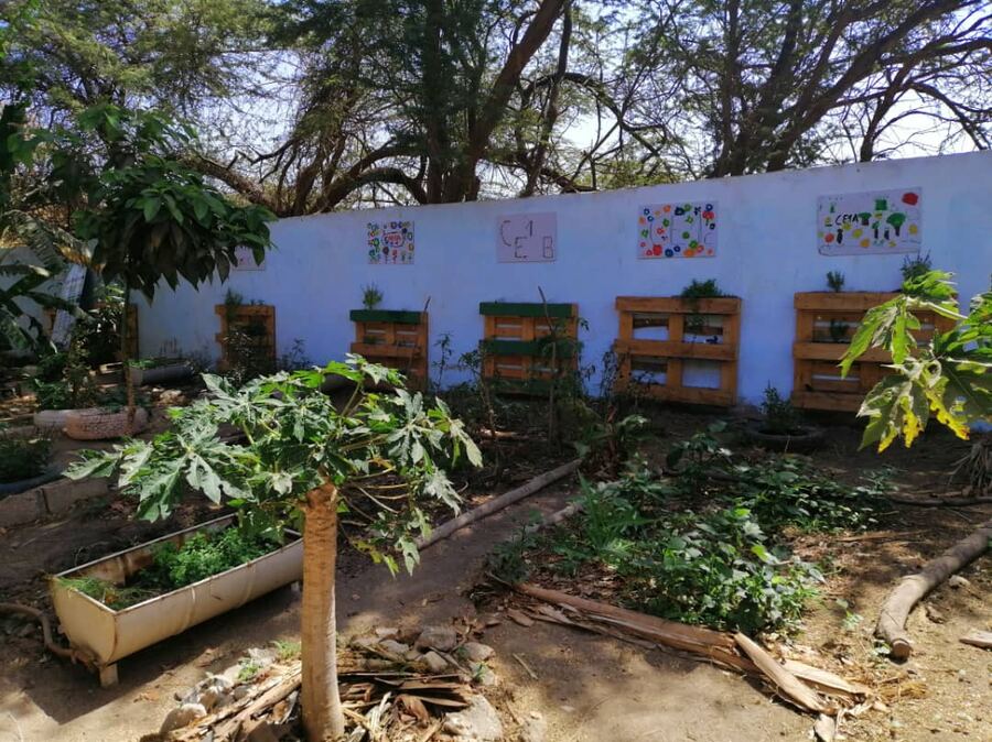 Le jardin scolaire et ses bacs de culture devant un mur peint.